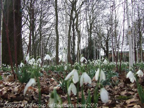 dunhammassey (10)